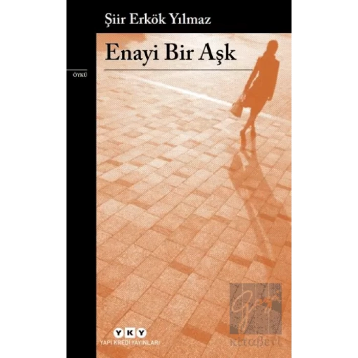 Enayi Bir Aşk