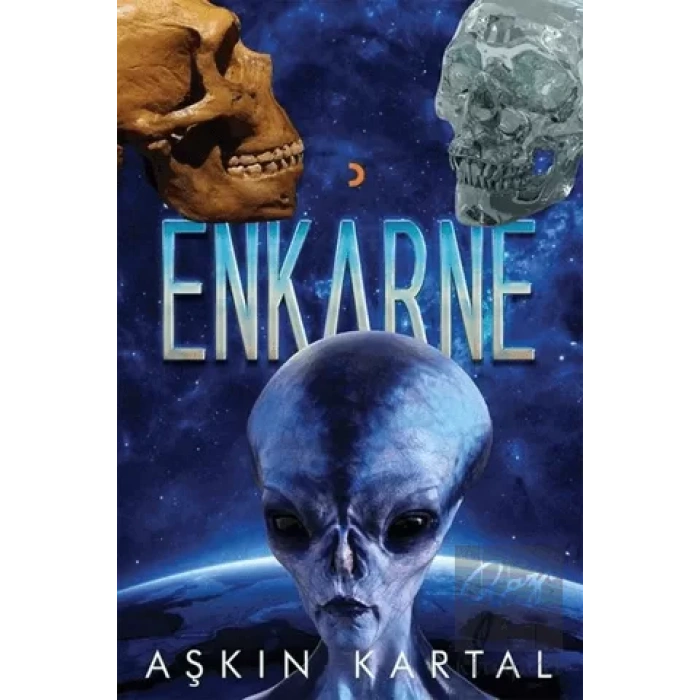 Enkarne