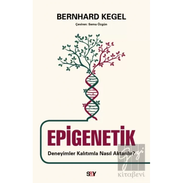 Epigenetik