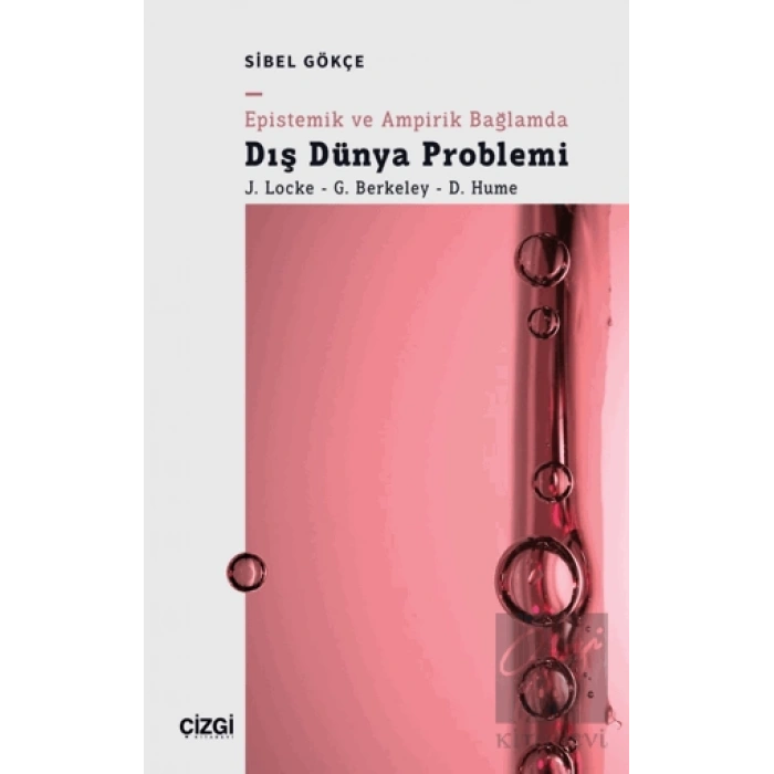 Epistemik ve Ampirik Bağlamda Dış Dünya Problemi