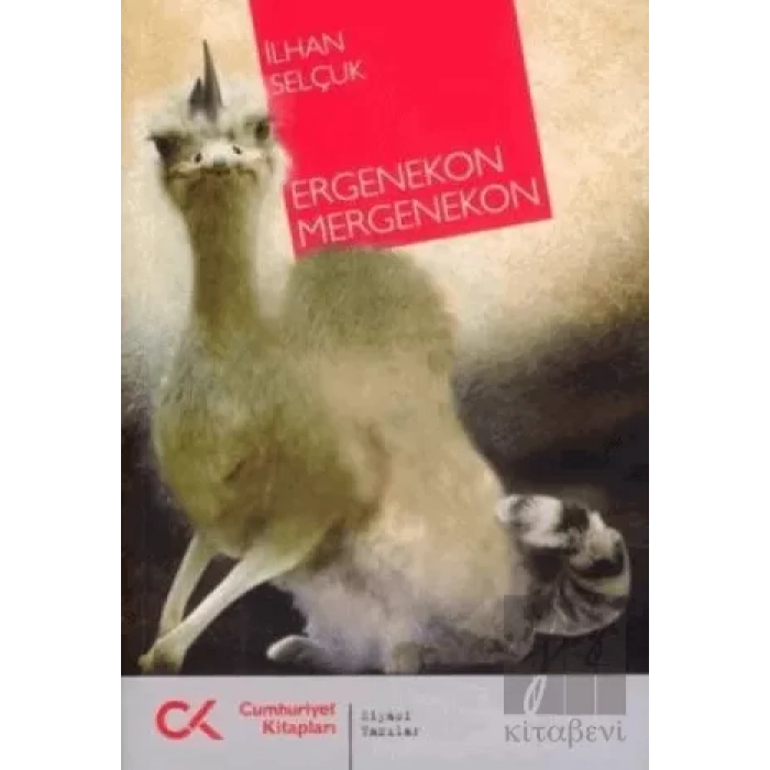 Ergenekon Mergenekon