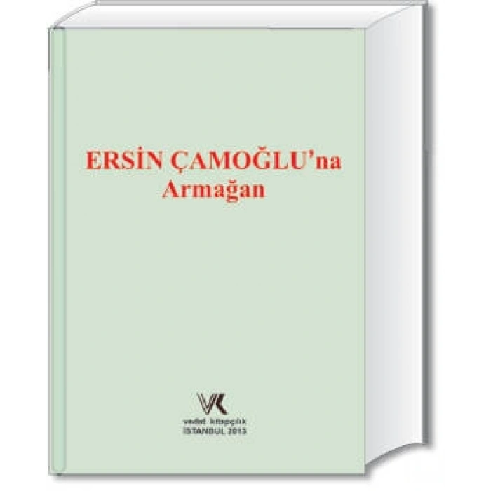 ERSİN ÇAMOĞLUNA ARMAĞAN   /   2013