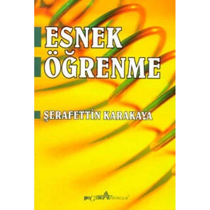 Esnek Öğrenme