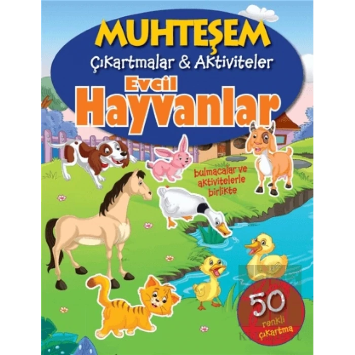 Evcil Hayvanlar - Muhteşem Çıkartmalar ve Aktiviteler