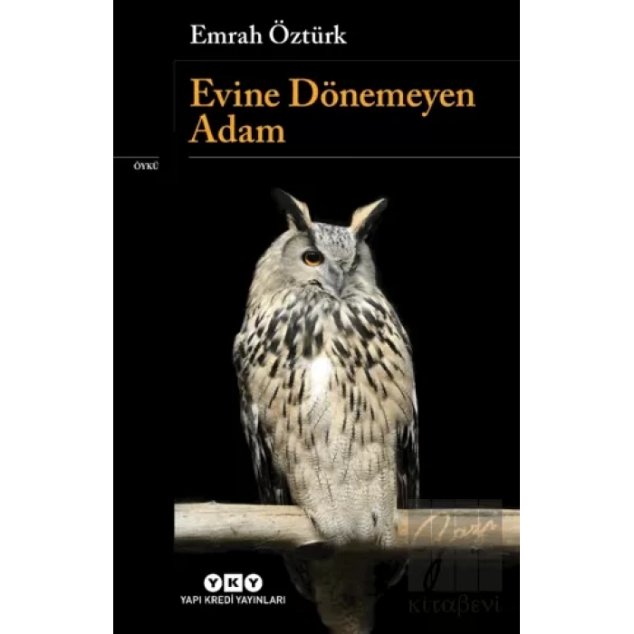 Evine Dönemeyen Adam