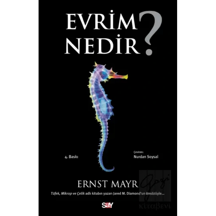 Evrim Nedir?