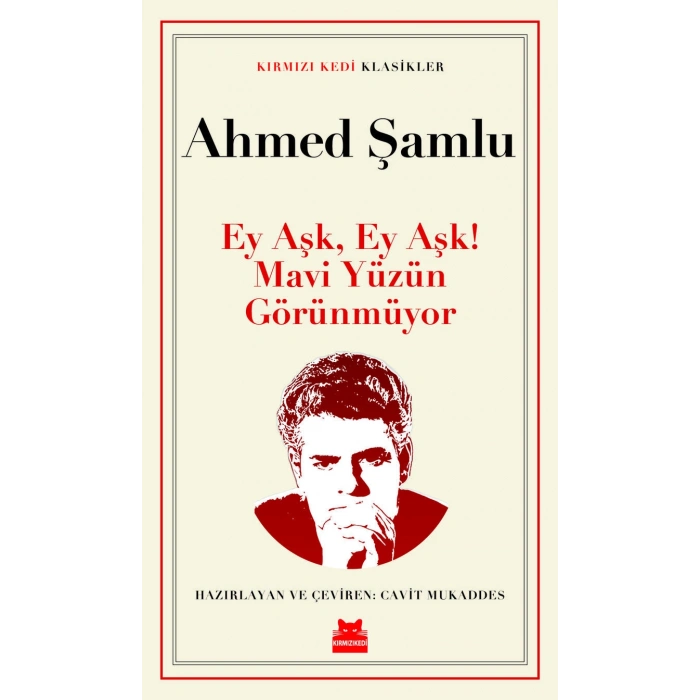 Ey Aşk, Ey Aşk! Mavi Yüzün Görünmüyor