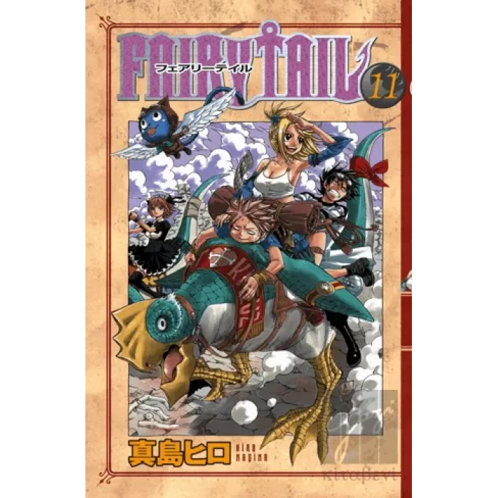 Fairy Tail 11