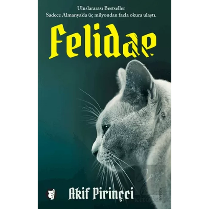 Felidae