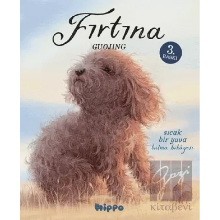 Fırtına