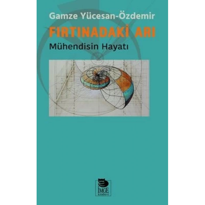 Fırtınadaki Arı; Mühendisin Hayatı