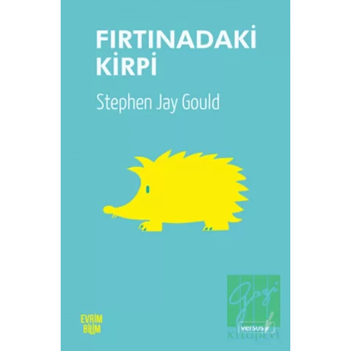 Fırtınadaki Kirpi