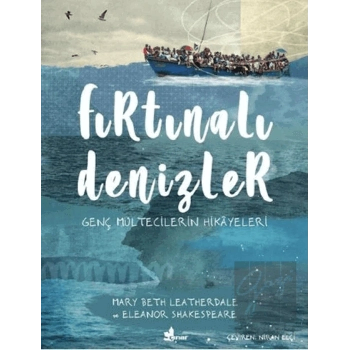 Fırtınalı Denizler
