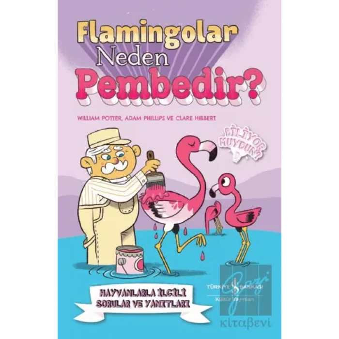 Flamingolar Neden Pembedir? Hayvanlarla İlgili Sorular ve Yanıtları