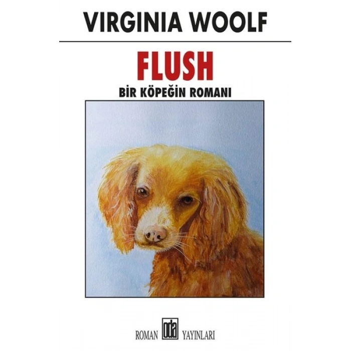 Flush-Bir Köpegin Romanı