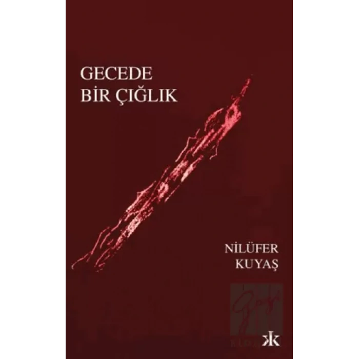 Gecede Bir Çığlık