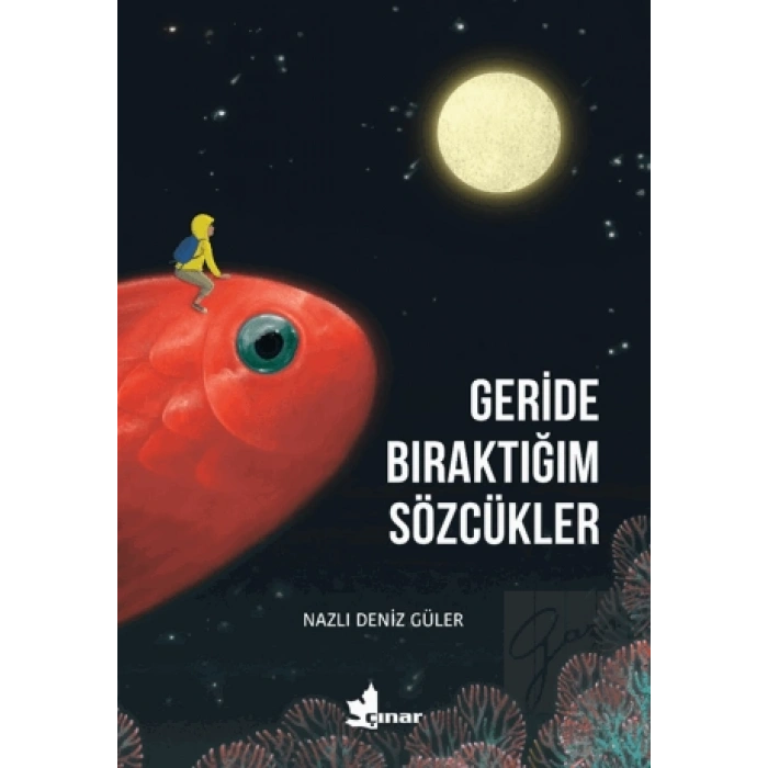 Geride Bıraktığım SÖzcükler