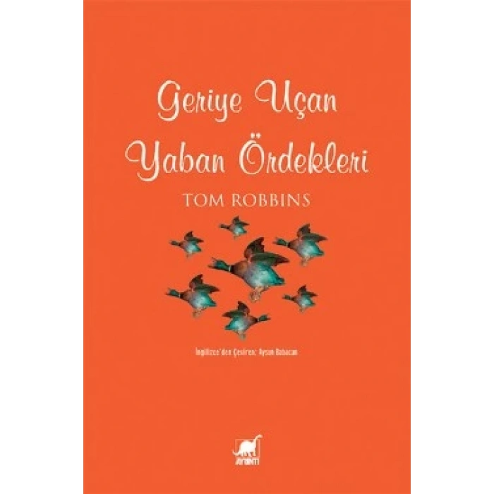 Geriye Uçan Yaban Ördekleri