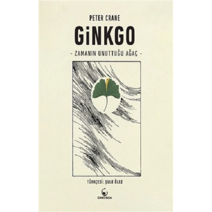 Ginkgo: Zamanın Unuttuğu Ağaç
