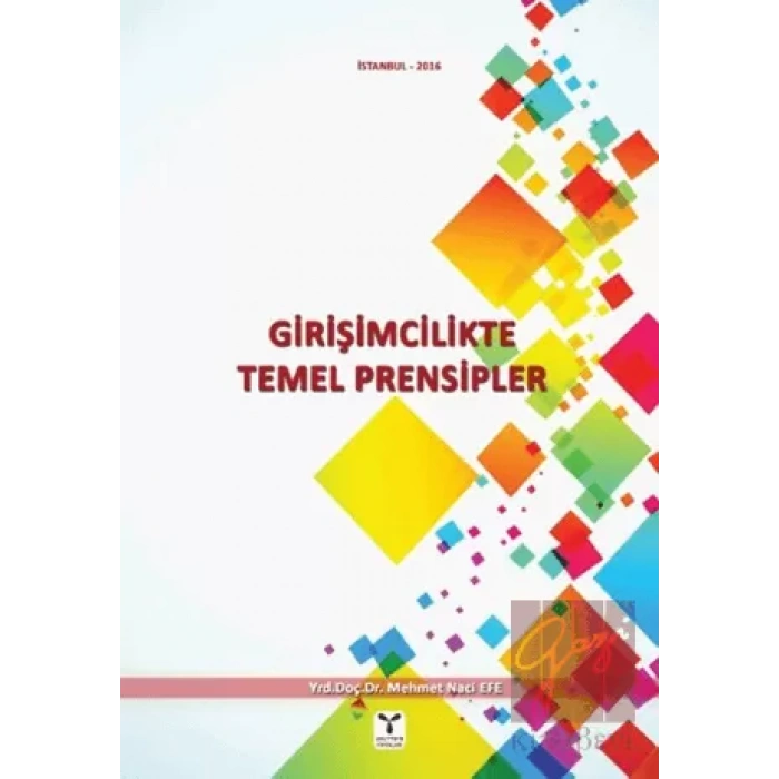 Girişimcilikte Temel Prensipler