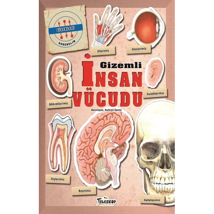 Gizemleri Öğrenelim - Gizemli İnsan Vücudu