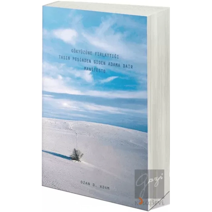 Gökyüzüne Fırlattığı Taşın Peşinden Giden Adama Dair Manifesto