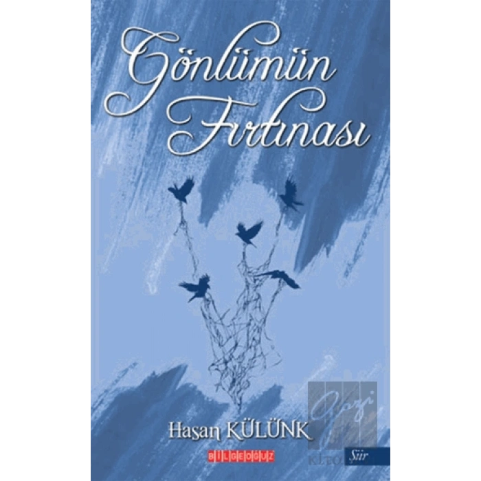 Gönlümün Fırtınası