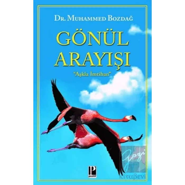 Gönül Arayışı