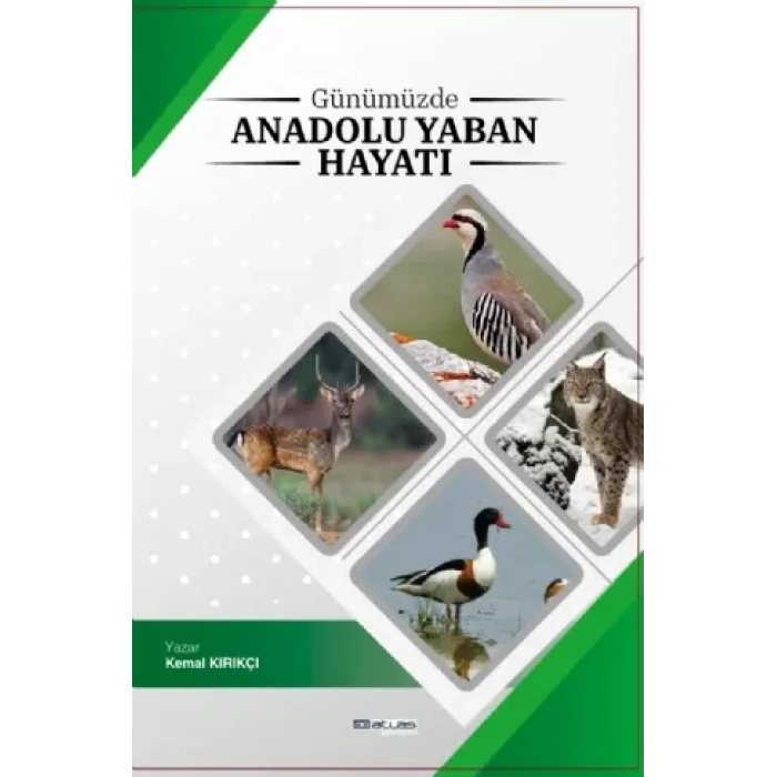 Günümüzde Anadolu Yaban Hayatı