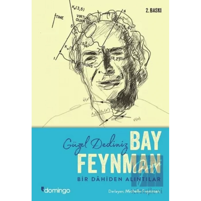 Güzel Dediniz Bay Feynman