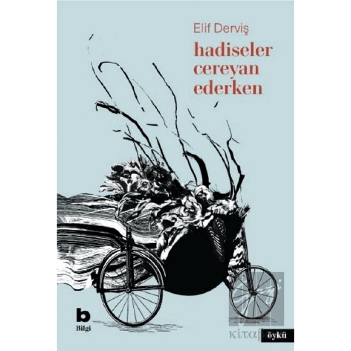 Hadiseler Cereyan Ederken