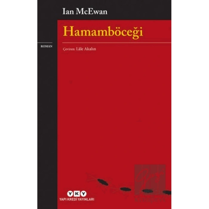 Hamamböceği