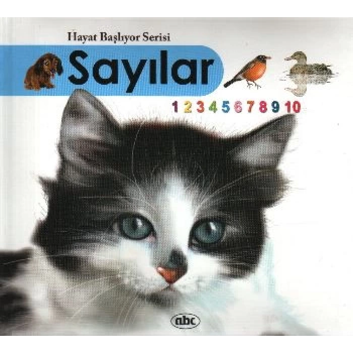 hayat başlıyor sayılar