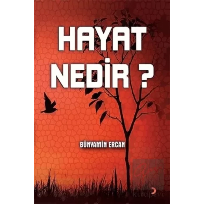 Hayat Nedir?
