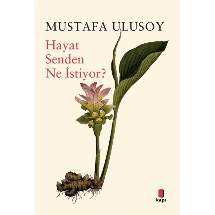 Hayat Senden Ne İstiyor?