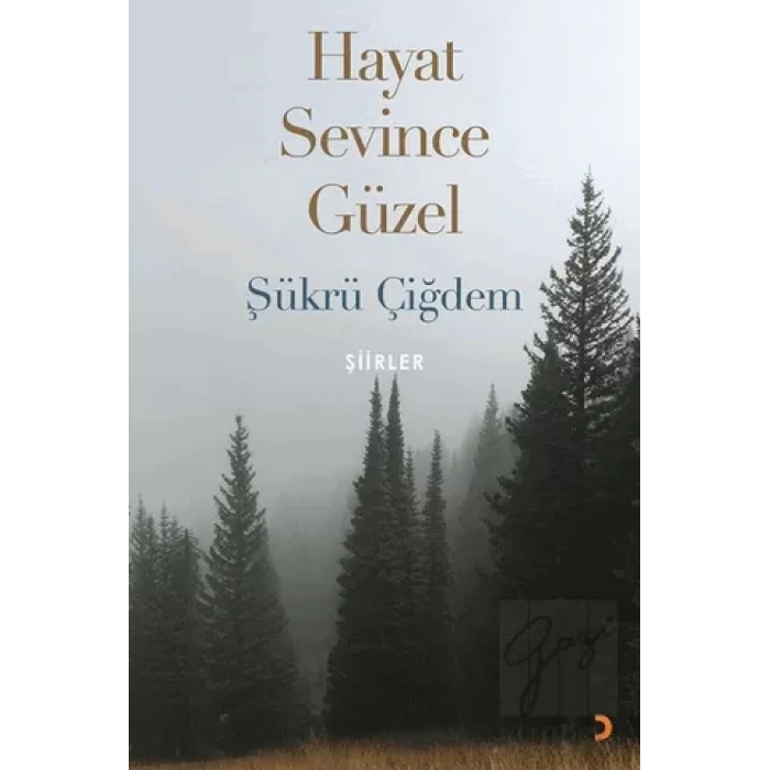 Hayat Sevince Güzel