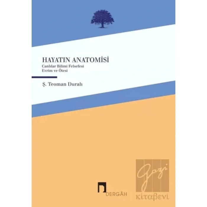Hayatın Anatomisi