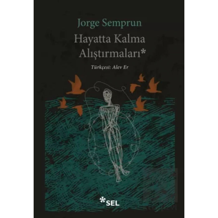 Hayatta Kalma Alıştırmaları