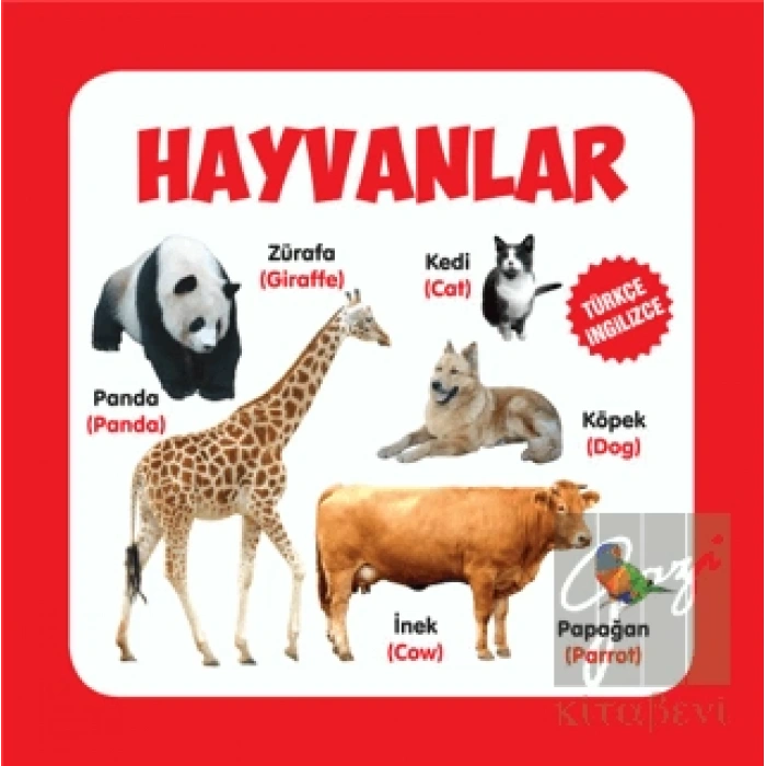 Hayvanlar