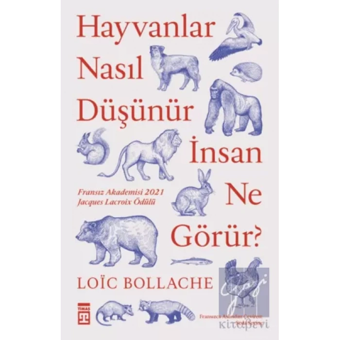 Hayvanlar Nasıl Düşünür İnsan Ne Görür?