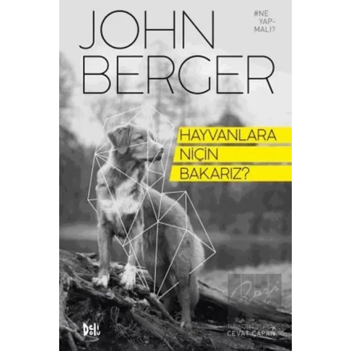 Hayvanlara Niçin Bakarız?