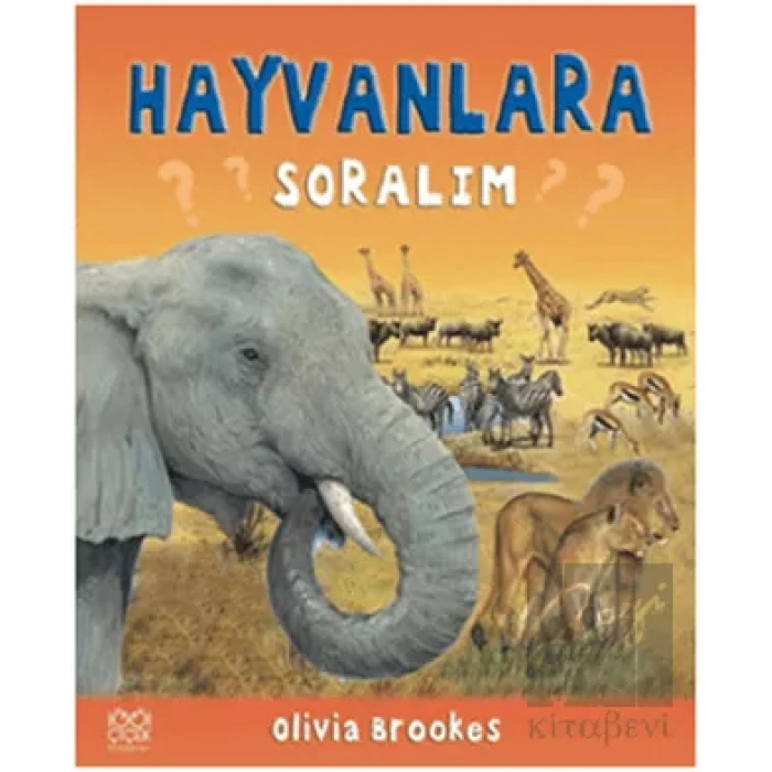 Hayvanlara Soralım