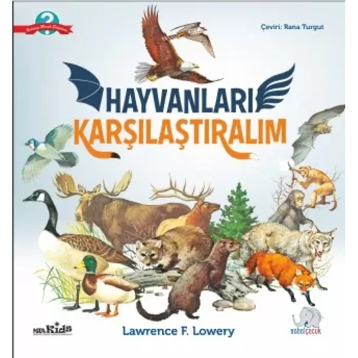 HAYVANLARI KARŞILAŞTIRALIM - Animals Two By Two