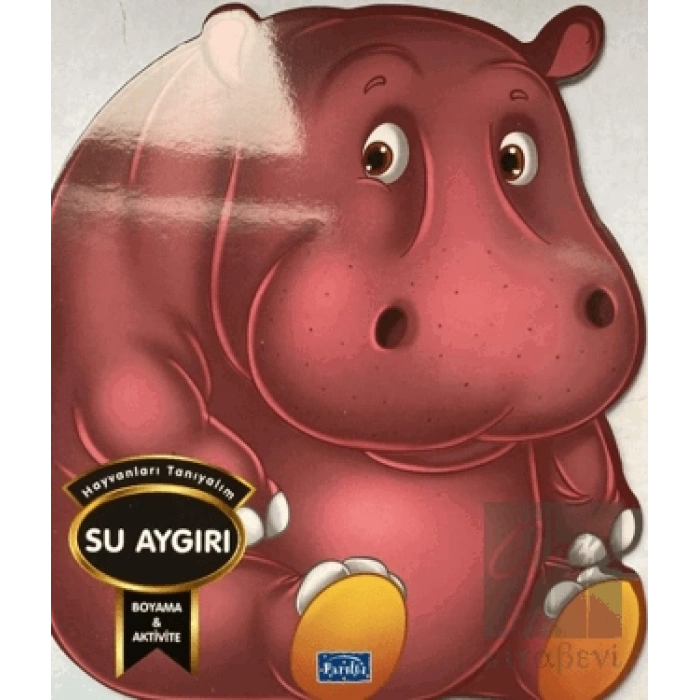 Hayvanları Tanıyalım - Su Aygırı