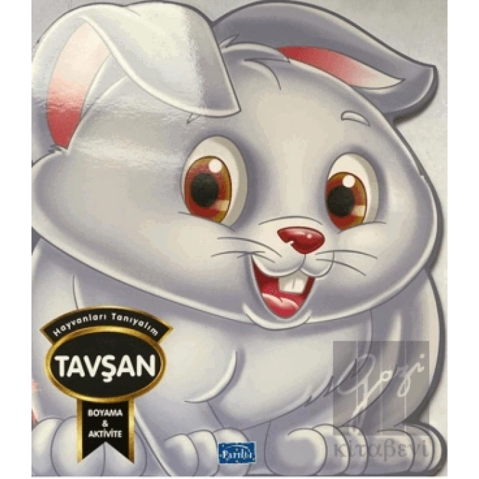 Hayvanları Tanıyalım - Tavşan