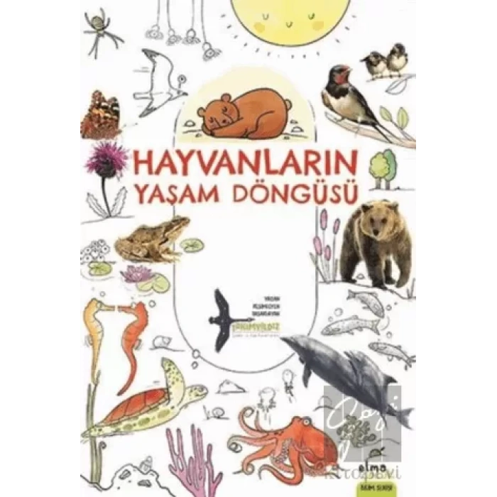 Hayvanların Yaşam Döngüsü