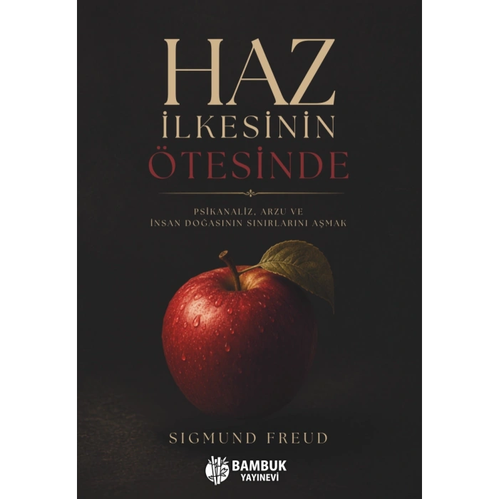 Haz İlkesinin Ötesinde