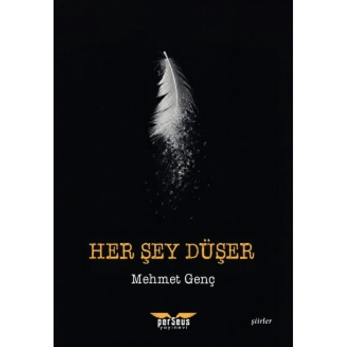 Her Şey Düşer