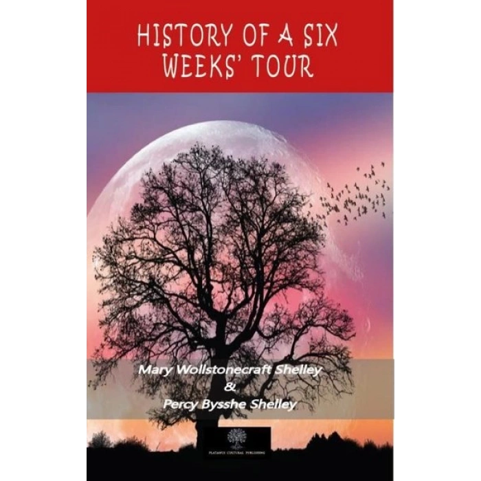 History of a Six Weeks Tour