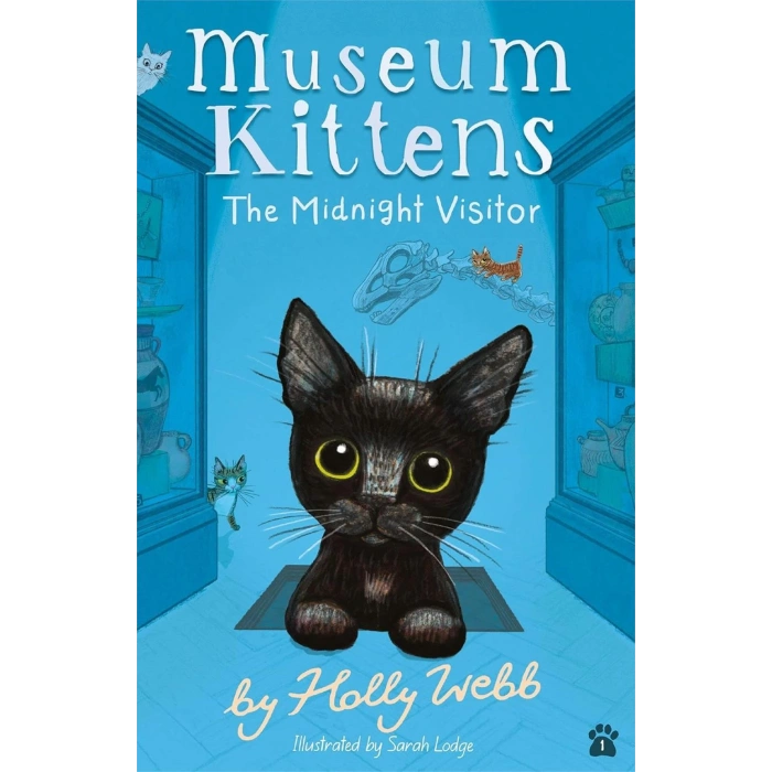 Holly Webb Animal Stories: Museum Kittens: The Midnight Visitor